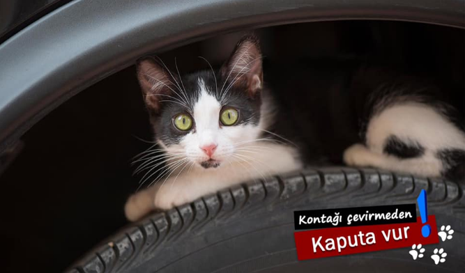 Küçük Bir Dokunuşa Ne Dersiniz?(Özel Haber)