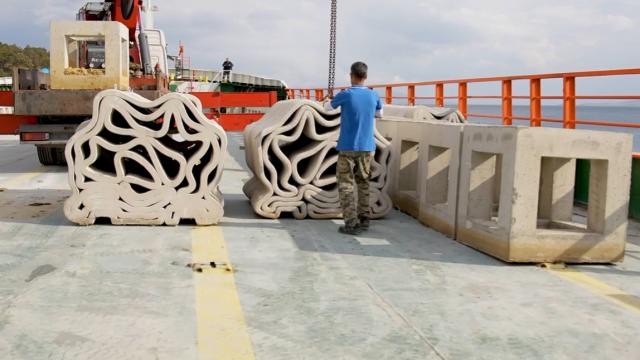 Yapay resifler Marmara Denizi’ndeki canlılara yaşam alanı sunacak