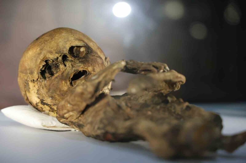 Aksaray’da 12. yüzyılın mumyaları sergileniyor