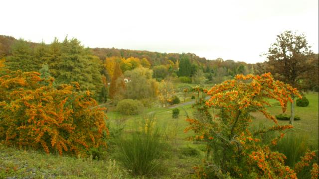 Bahçeköy Yerleşim Alanı ve Çevresi doğal sit alanı olarak belirlendi