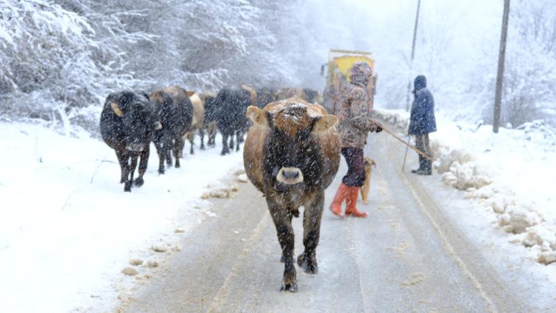 Kırklareli’nin yüksek kesimlerinde şiddetli kar: 11 köy yolu ulaşıma kapandı