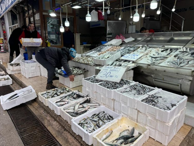 Karadeniz’de deniz suyu soğudu, tezgahlar balıkla doldu