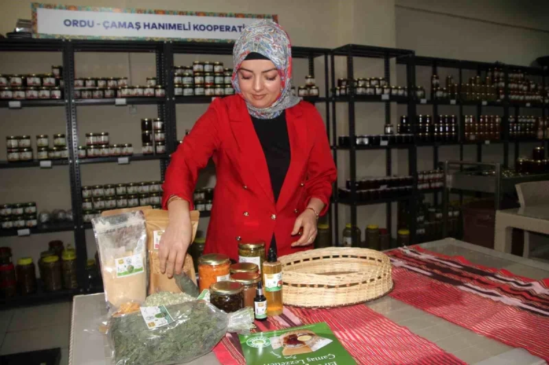 Çamaş’ta Kadınlar Tarafından Kurulan Kooperatif ile Doğal Ürün Üretimi