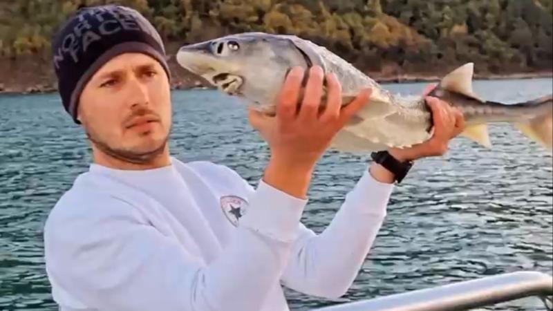 Nesli tükenme tehlikesi altında olan mersin balığını yakalayıp, denize saldı