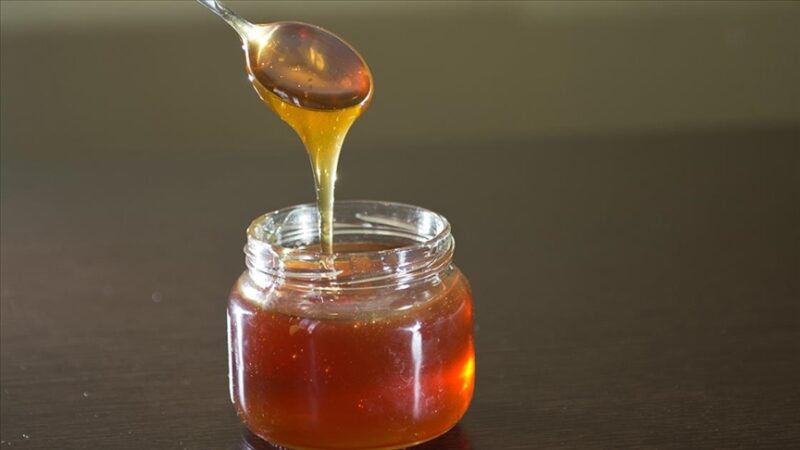 Doğu Karadeniz’in bal ihracatı 11 ayda yüzde 72 arttı