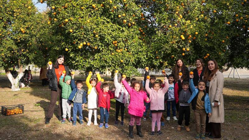 Mersin’de kreş öğrencileri portakal hasadı yaptı