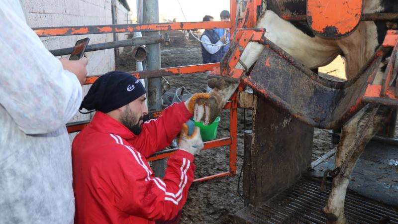 Niğde Ömer Halisdemir Üniversitesi’nde uygulamalı hayvan bakım eğitimi verildi