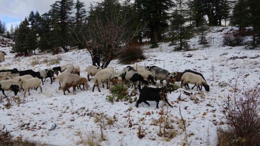 Mersin’de mevsimin ilk karı yağdı, Yörükler göçe başladı