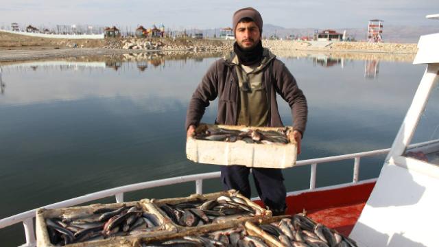 Erçek Gölü’ndeki inci kefali bolluğu balıkçıları sevindirdi