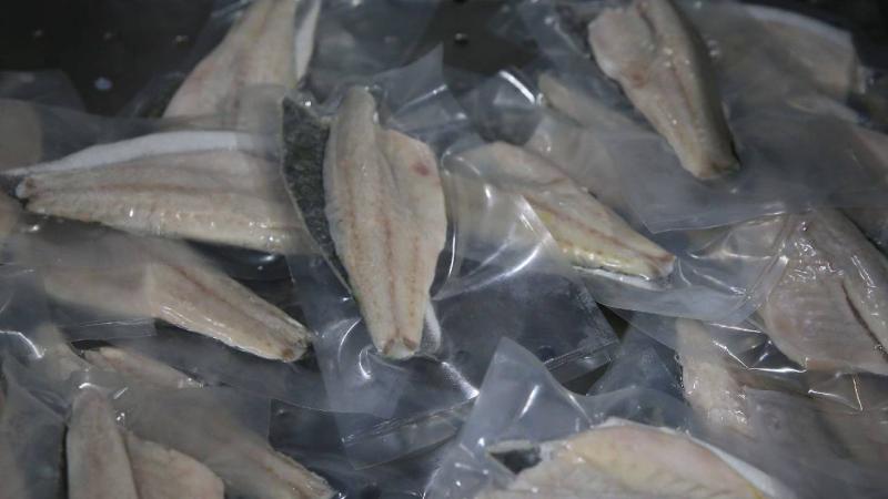 Muğla’dan 11 ayda 700 milyon dolarlık balık ihracatı yapıldı