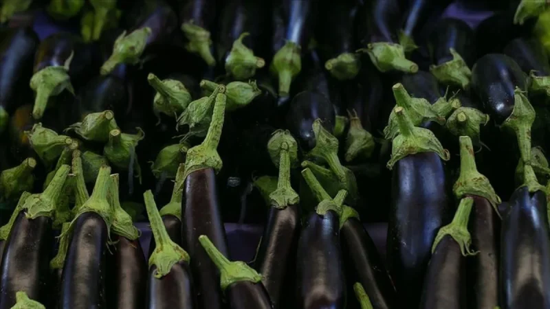 Patlıcan sapı mucizesi! Kaynatıp için, basuru dindirin…