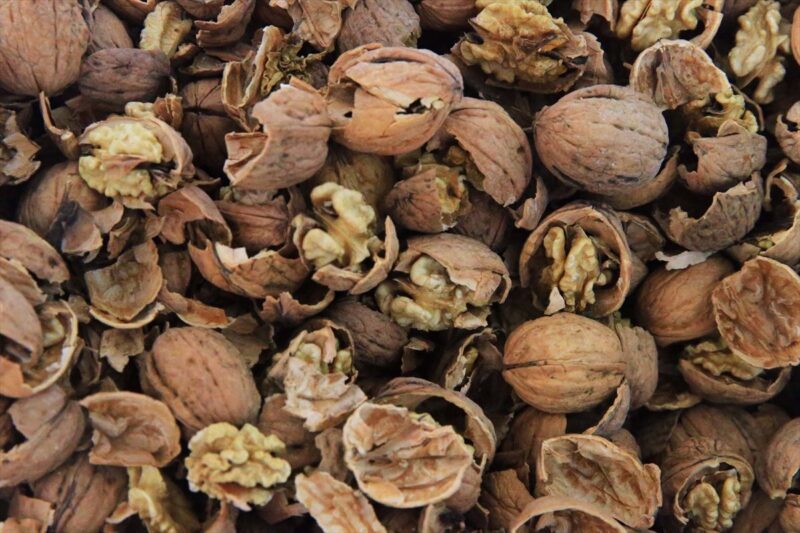 Muğla’da Coğrafi İşaretli Ceviz İşleme Tesisi Hizmete Açıldı