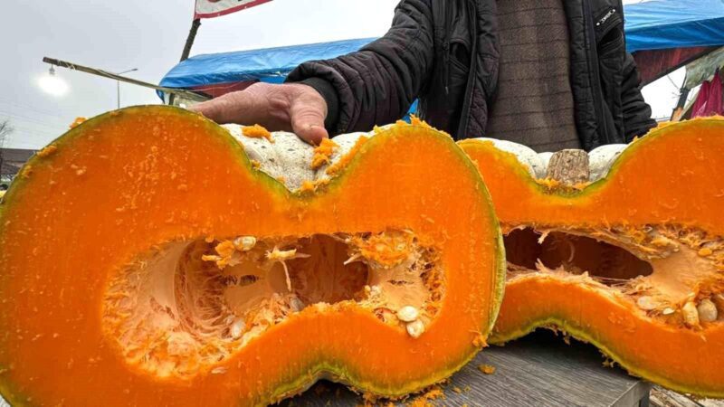 Düzce’de Yetişen Bal Kabağı Türkiye’nin her yerinden ilgi görüyor