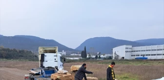 Yalova’da Roma dönemine ait 10 eser müzeye taşındı