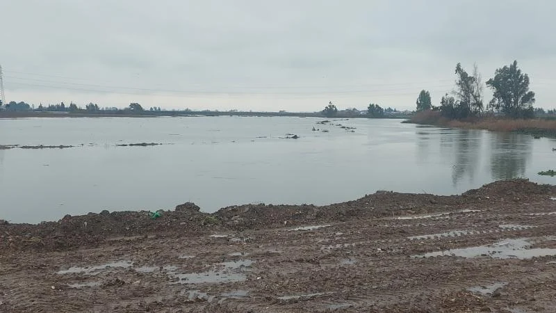 Asi Nehri taştı, tarım arazileri su altında kaldı