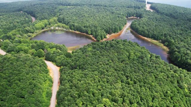 Yalova’nın yeni rotası: Doğa turizmi