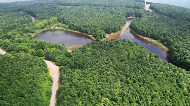 Yalova’nın yeni rotası: Doğa turizmi