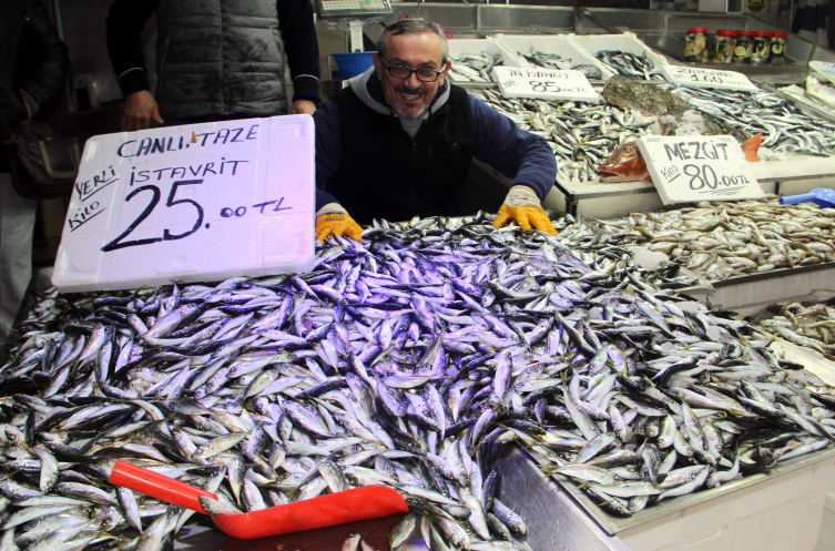 Karadeniz’de istavrit bolluğu yaşanıyor