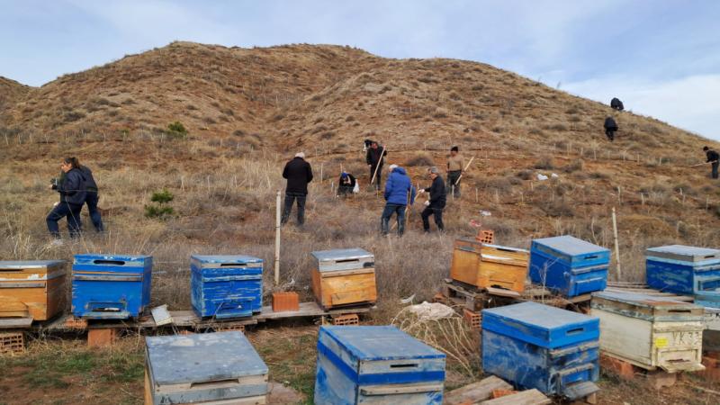 Zara’da 10 bin badem tohumu toprakla buluşturuldu