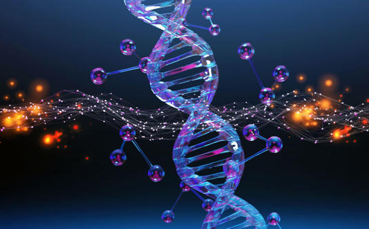 Paradigma kayması: Evrim sandığımız kadar rastgele değil