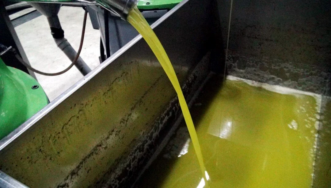Eskişehir’de Sahte Zeytinyağı Operasyonu: 2 Şüpheli Yakalandı