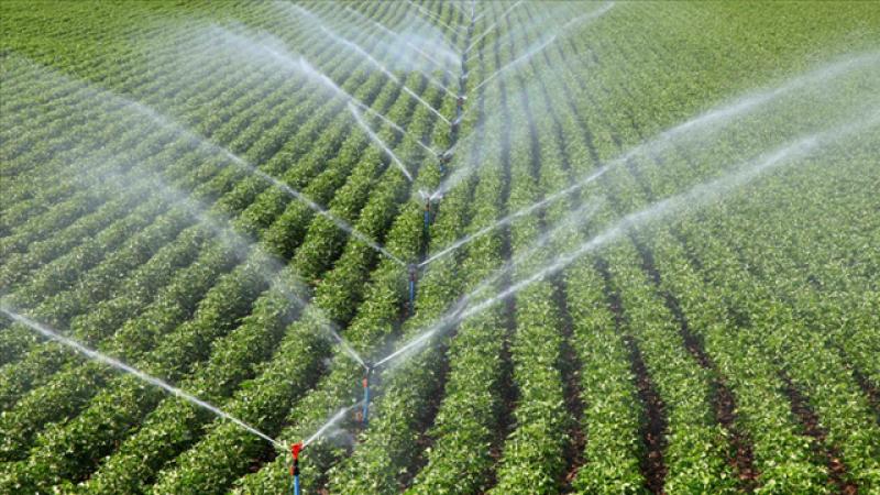 Tarım yatırımlarından en büyük payı sulama projeleri alacak