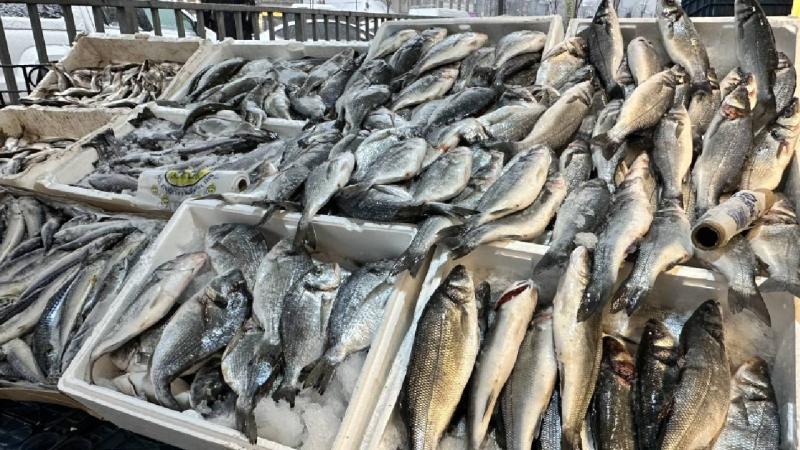 Yüksekova’da balık tezgahlarına yoğun ilgi