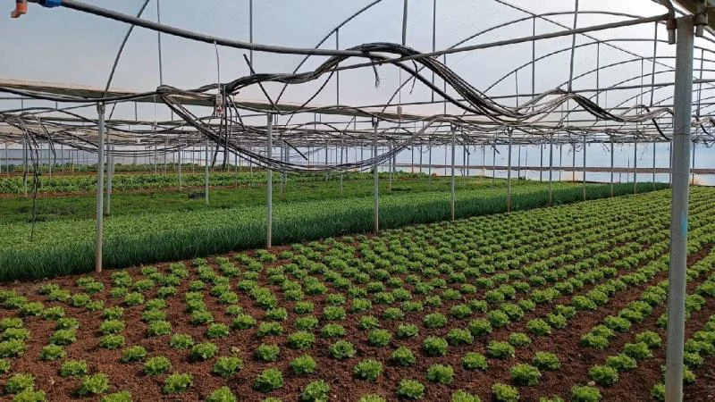 Eskişehir’de Kırsal Kalkınma Destekleri başvuruları başladı