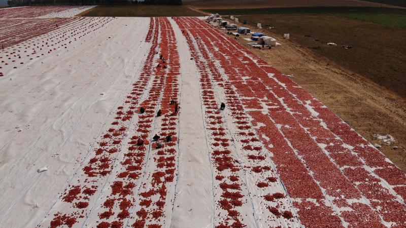 Depremin merkez üssü Kahramanmaraş’ta ihracat 1 milyar doları aştı