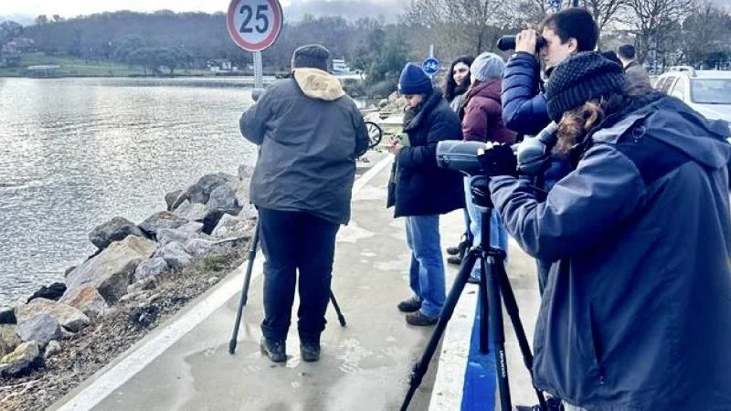 Sinop’ta su kuşlarının sayımı yapıldı