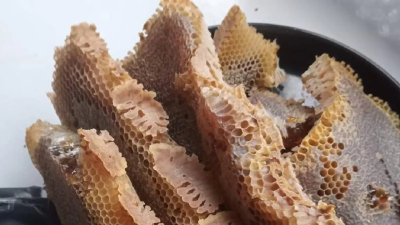 Düzce’de arıların petek yaptığı valizden 8 kilogram bal çıktı