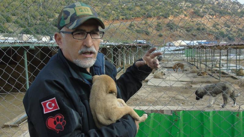 Gaziantep’te depremlerde sahibini kaybeden hayvanlar klasik müzikle terapi ediliyor