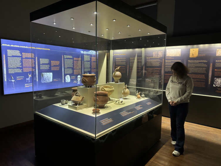 Çankırı Müzesi’nde 8,5 milyon yıllık fosiller sergileniyor