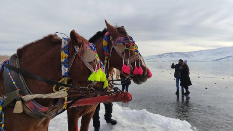Çıldır Gölü misafirlerini ağırlamaya başladı