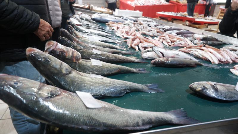 Foça’da balıkçılar levrek bolluğundan memnun