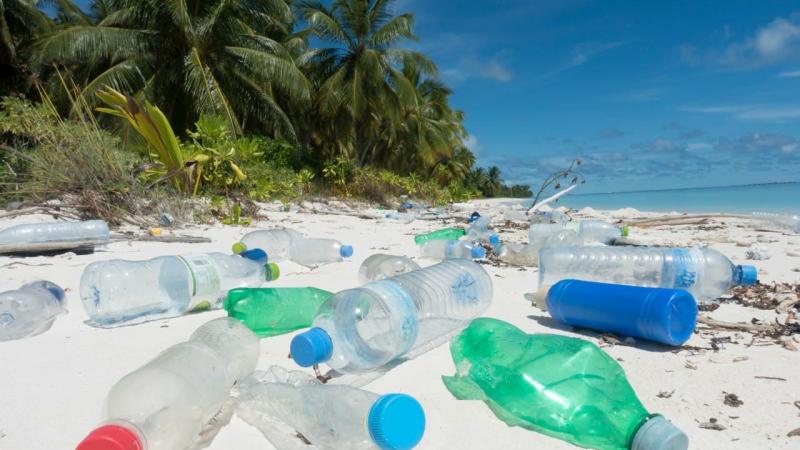 Akdeniz’deki plastik kirliliği alarm veriyor