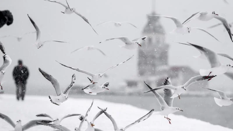 Meteoroloji’den İstanbul’a sarı kodlu uyarı