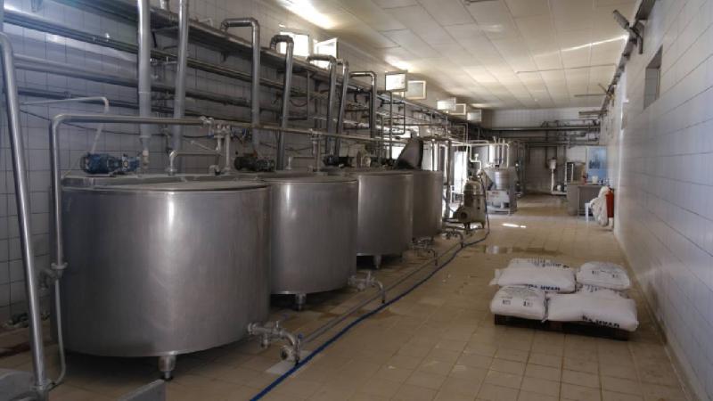 Kırklareli’nde süt işletmesi elektriğini güneşten üretiyor