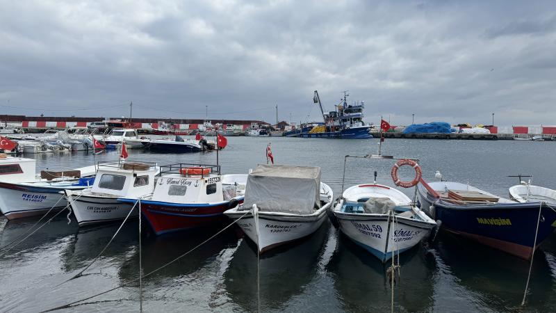 Marmara’da umduğunu bulamayan balıkçılar Karadeniz’e ağ attı