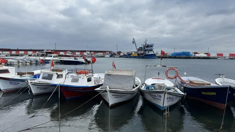Marmara’da umduğunu bulamayan balıkçılar Karadeniz’e ağ attı
