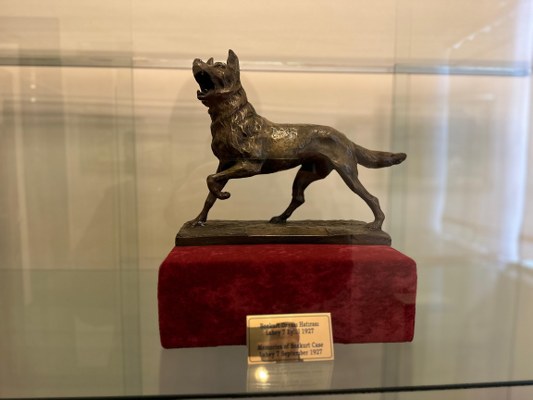 Lahey’in Atatürk’e hediye ettiği ‘bozkurt’ heykeli Samsun’da sergileniyor