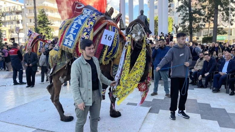 Antalya’da ‘en süslü deve’ yarışması düzenlendi