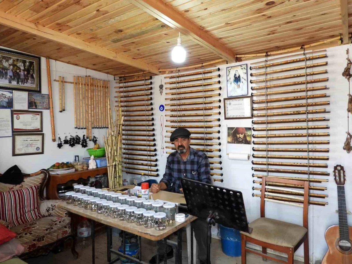 Samandağ’da Kamışlar Ney’e Dönüşüyor