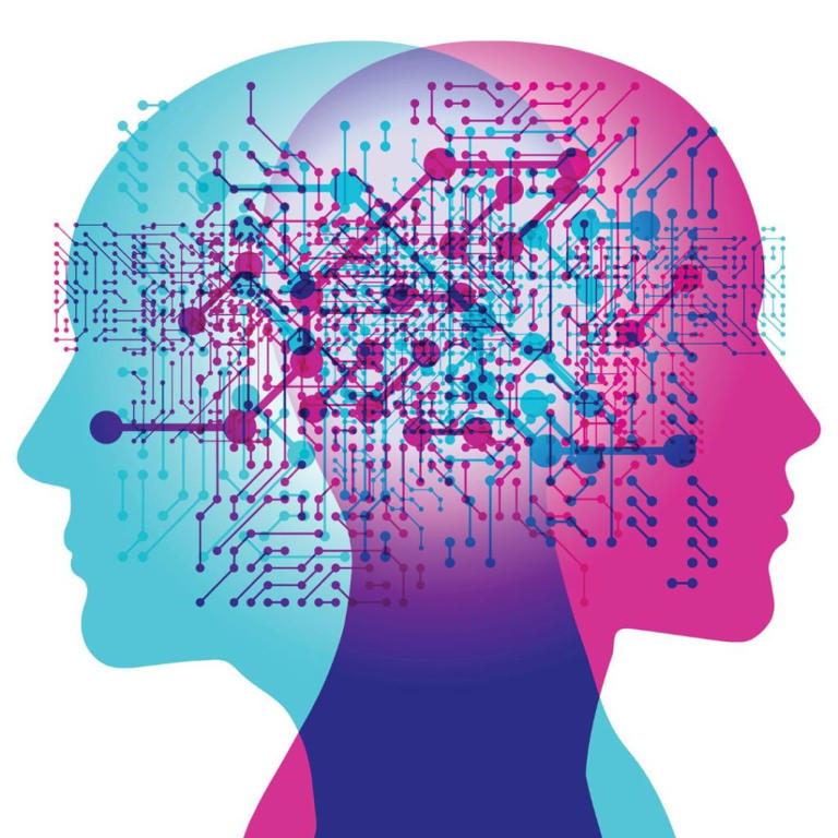 Bilim, Erkeklerin ve Kadınların Beyinlerinin Aslında Farklı Çalıştığını Keşfetti