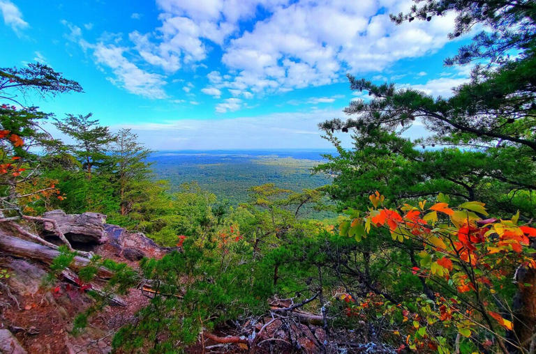 20°C, Dünya’daki yaşamın gelişmesi için en uygun sıcaklık gibi görünüyor: Isınan bir dünyada bunun anlamı nedir?