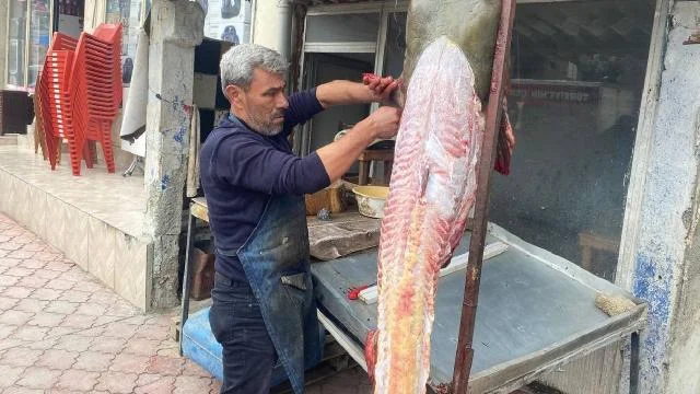 Osmaniyeli balıkçıya 37 bin TL’lik yayın balığı piyangosu