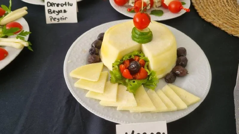 25 çeşit peynirin yapımını öğrendiler