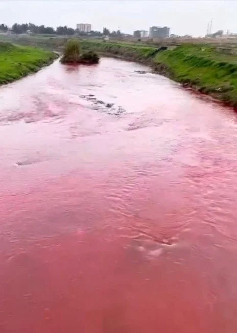 Kırmızı akan Berdan Nehri normale döndü