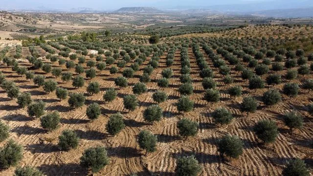 Toros Dağları’nın eteğindeki mahallede inşa edilen gölet yöre halkına “can suyu” olacak