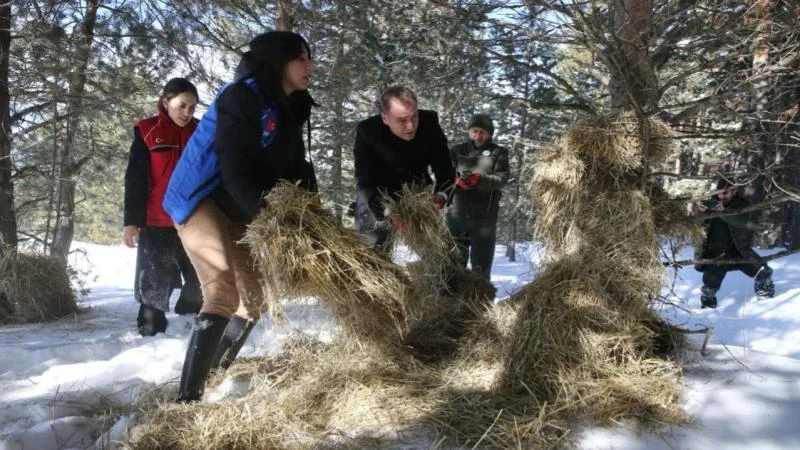 Ardahan’da yaban hayvanları için doğaya yem bırakıldı